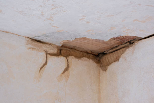 Best Sewage cleanup and water damage restoration  in Bolivar Peninsula, TX
