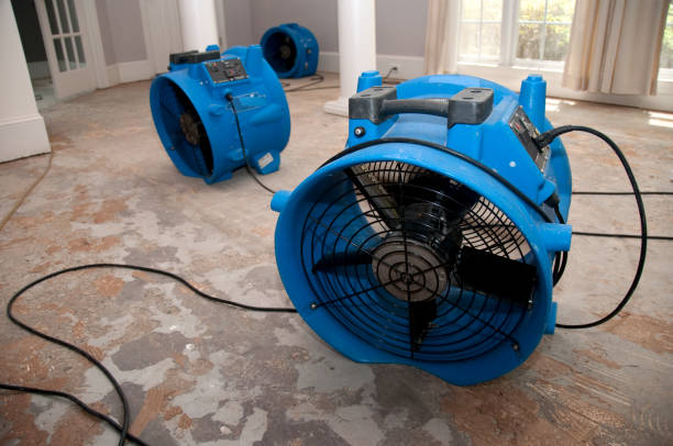 Local water damage restoration in Bolivar Peninsula, TX